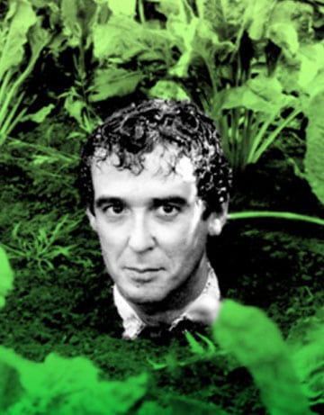 Diseño y maquetación del foleto Amanece que no es poco