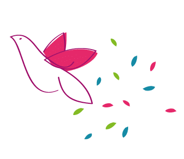 Desarrollo y diseño del sitio web Albacete