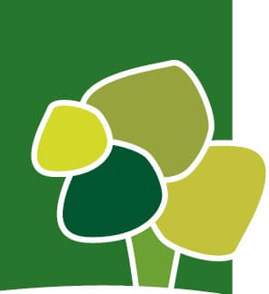 Logo cooperativa de almandra diseño por Cartel-Arte