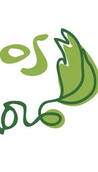 diseño del logo y branding para Viveros El Sembrador