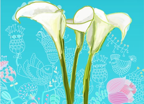 Diseño del cartel, ilustración y publicidad para la Feria Celebralia Ifab Albacete