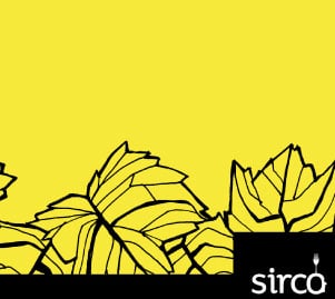 Diseño del flyer de vinos para Sirco en Tarragona
