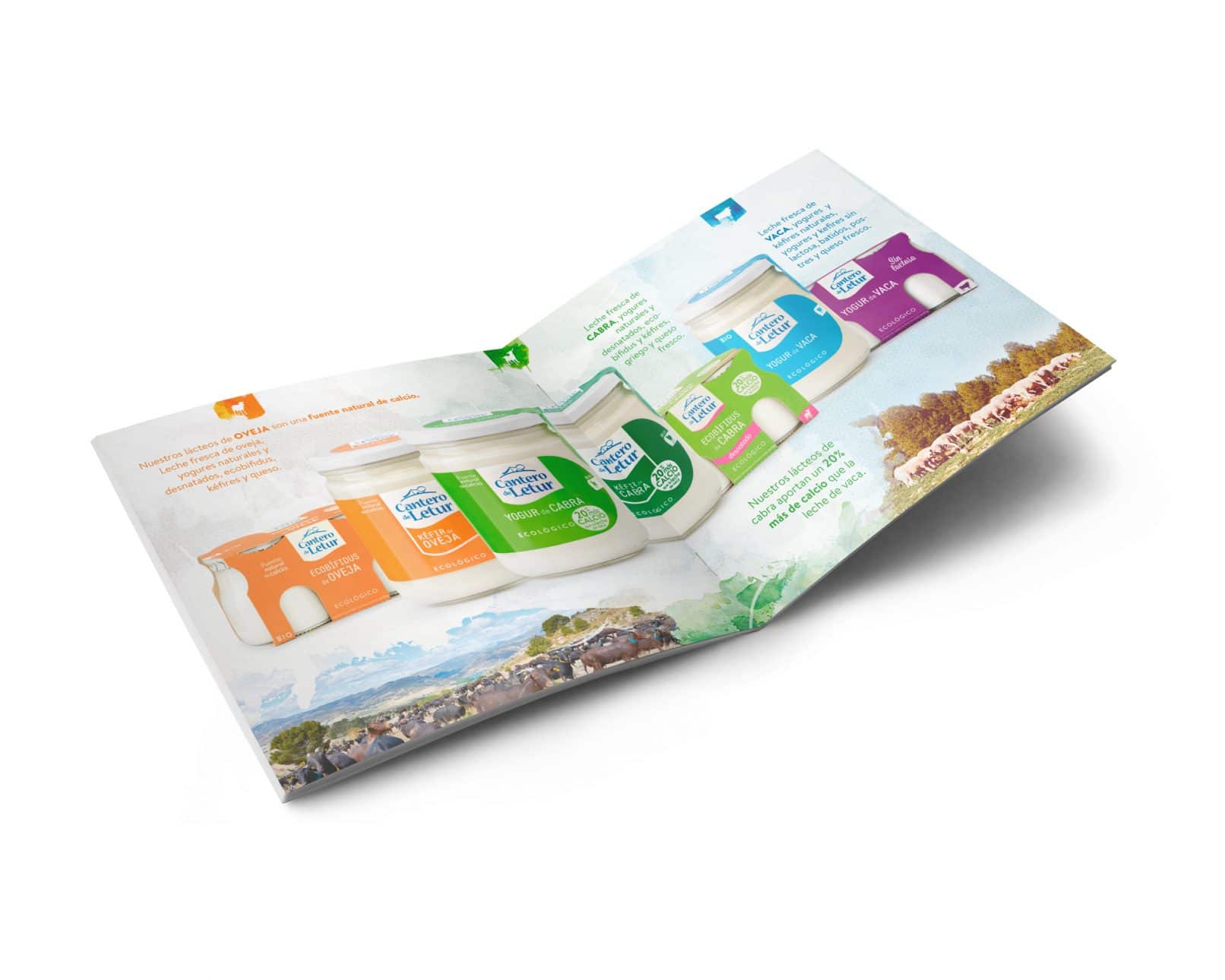 Folleto publicitario para Cantero de Letur. Advertising brochure design