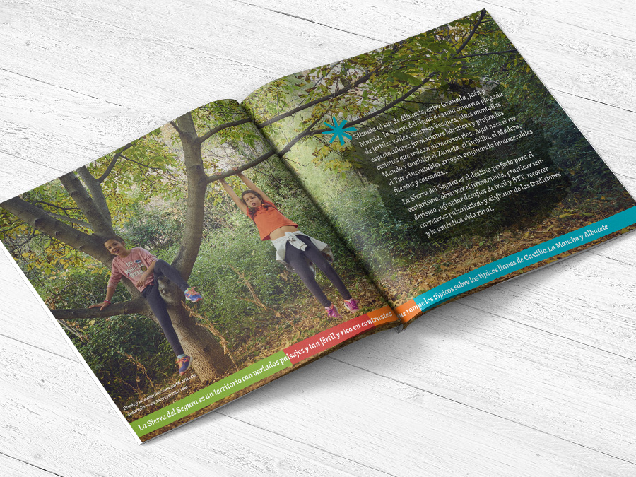 Agencia de publicidad Albacete