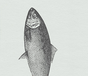 Diseño cartel Albacete agencia de publlicidad