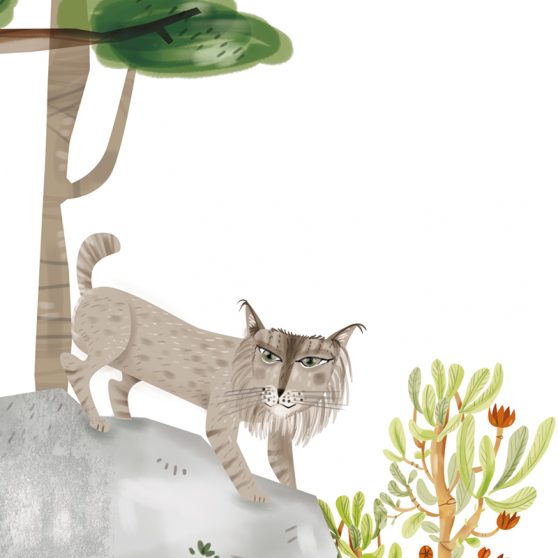 Ilustración para el Aula de Educación Ambiental