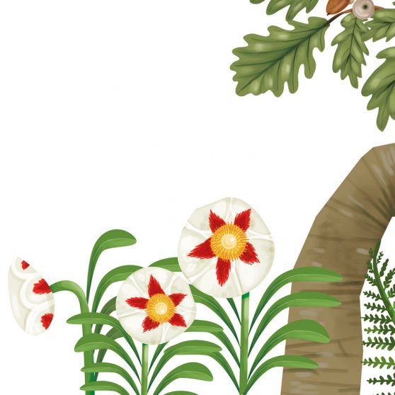 Ilustración del Vivero Central Toledo