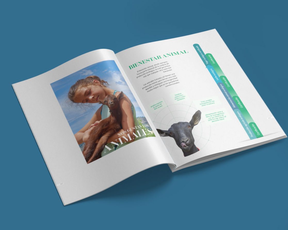 diseño memoria empresa albacete