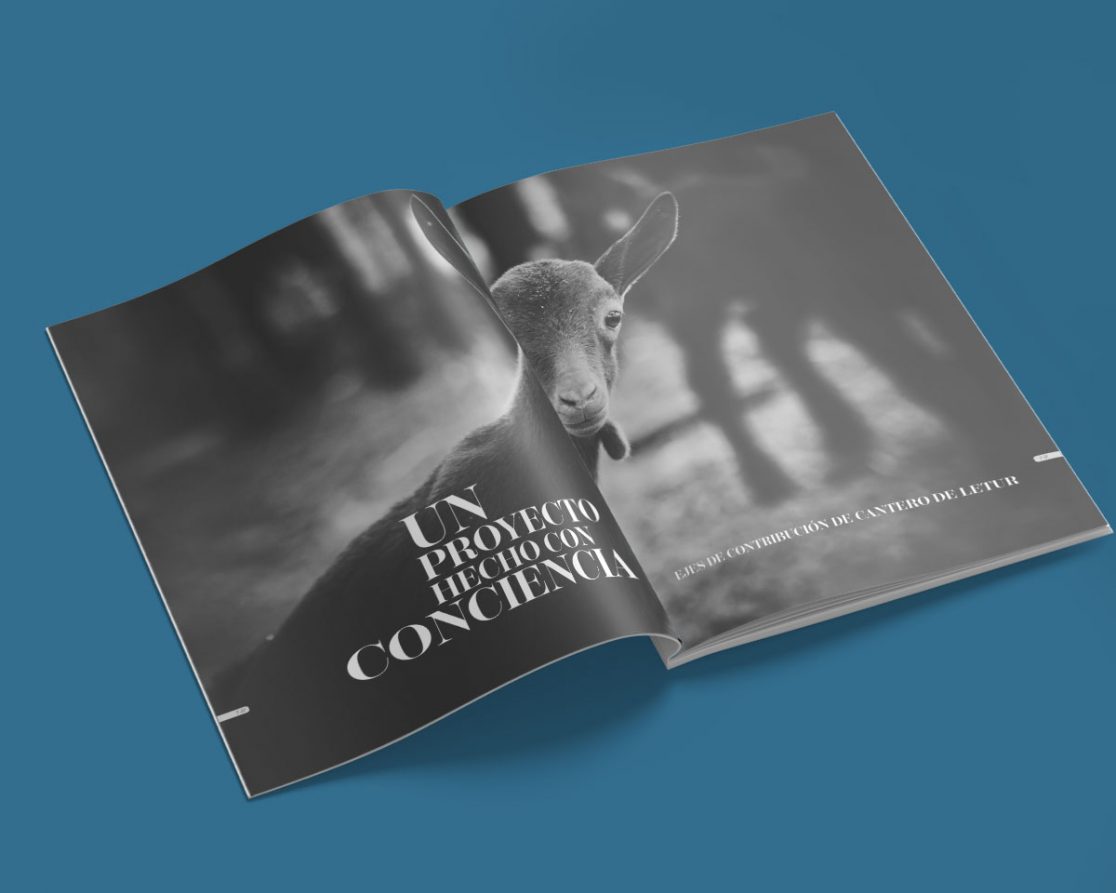 diseño memoria empresa albacete