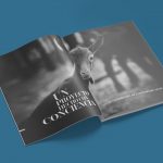 diseño memoria empresa albacete