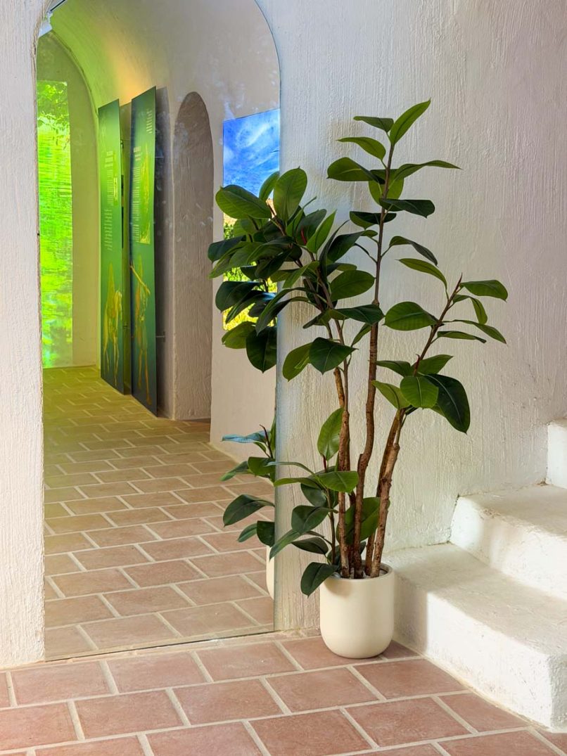 Centro interpretación Torre Doña Blanca
